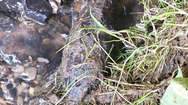 Delostrelecká mína z obdobia 2. sv. vojny