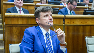 O prácu v štátnom podniku príde 280 ľudí. Hlina varoval, že Lesy SR chcú prepustiť stovky ľudí, mal pravdu