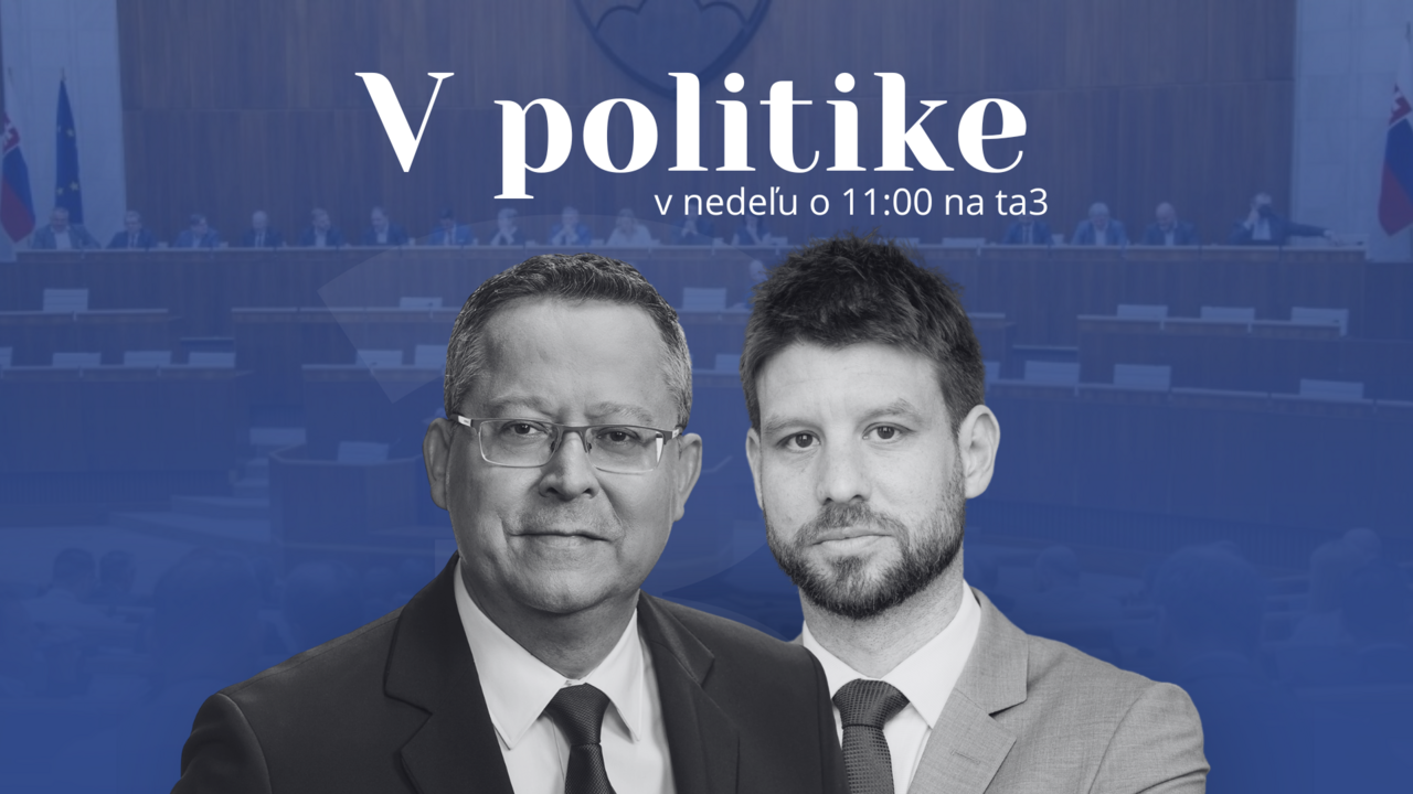 V politike Šimečka Kamenický