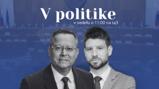 V politike Šimečka Kamenický