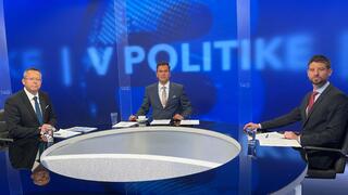 V politike Šimečka Kamenický