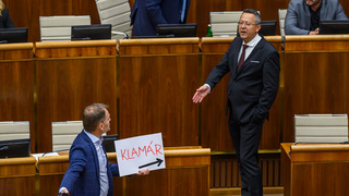 Parlament schválil tretí konsolidačný balík za 2,7 miliardy. Nehlasoval zaň Ferenčák z Hlasu, stratil vraj dôveru klubu