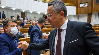 kamenický po rokovaní.jpg