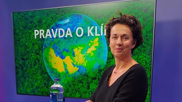 Katarína Medveďová