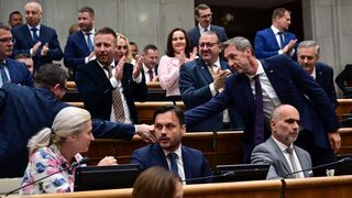 Parlament, majerský, ústava