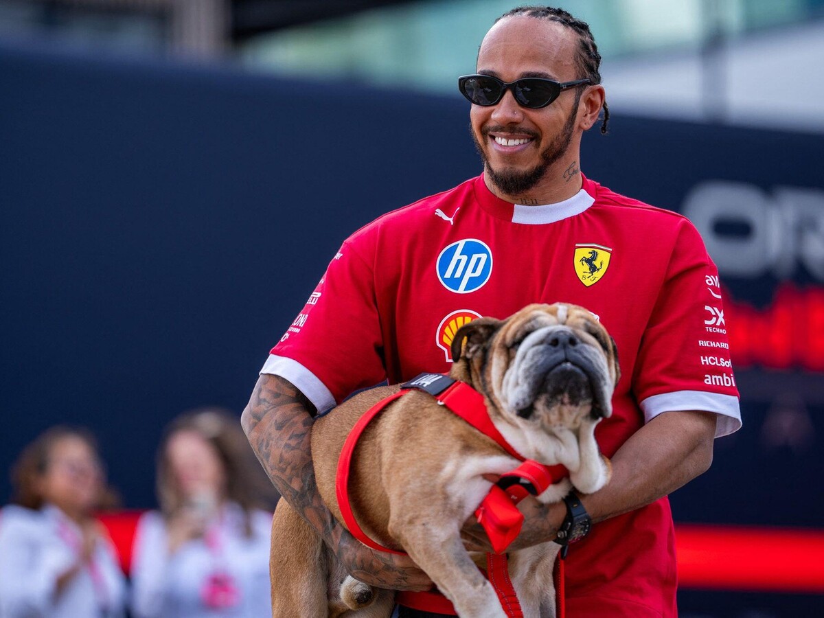 hamilton a roscoe.jpg