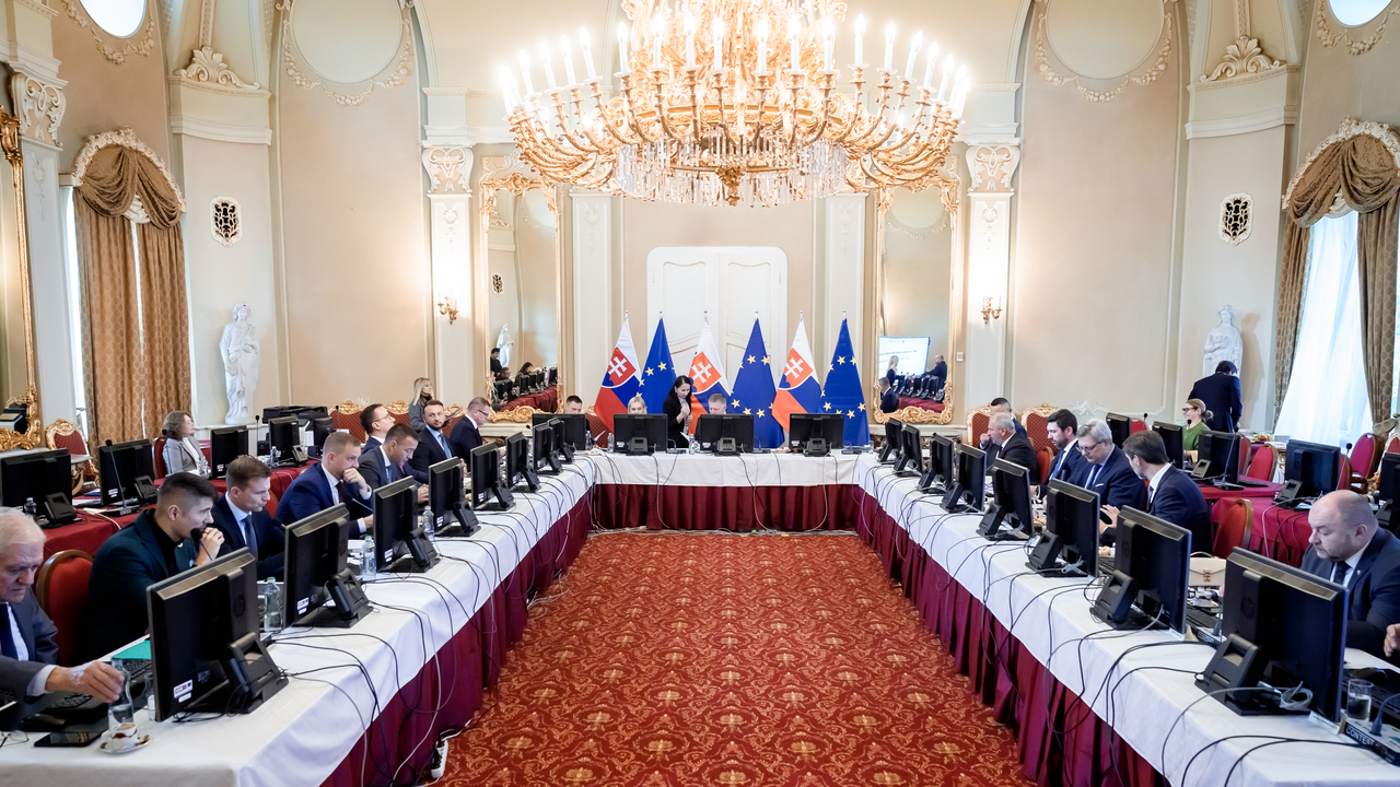 Vláda schválila odškodnenie pre zranených po zrážkach vlakov. Vzniknú nové centrá cudzineckej polície