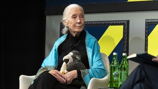 Jane Goodall