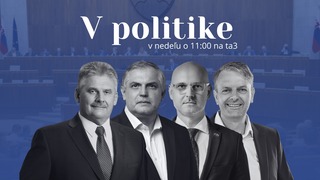 V politike