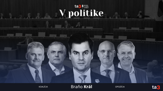 Podcast V politike.png