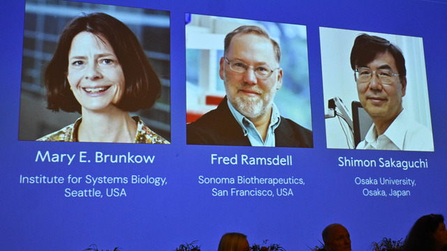 Nobelova cena Nobelovu cenu za medicínu získali Brunkowová, Ramsdell a Sakaguči