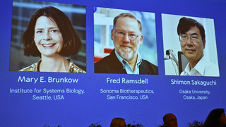 Nobelovu cenu za medicínu získala trojica vedcov. Ich výskum zmenil chápanie imunity