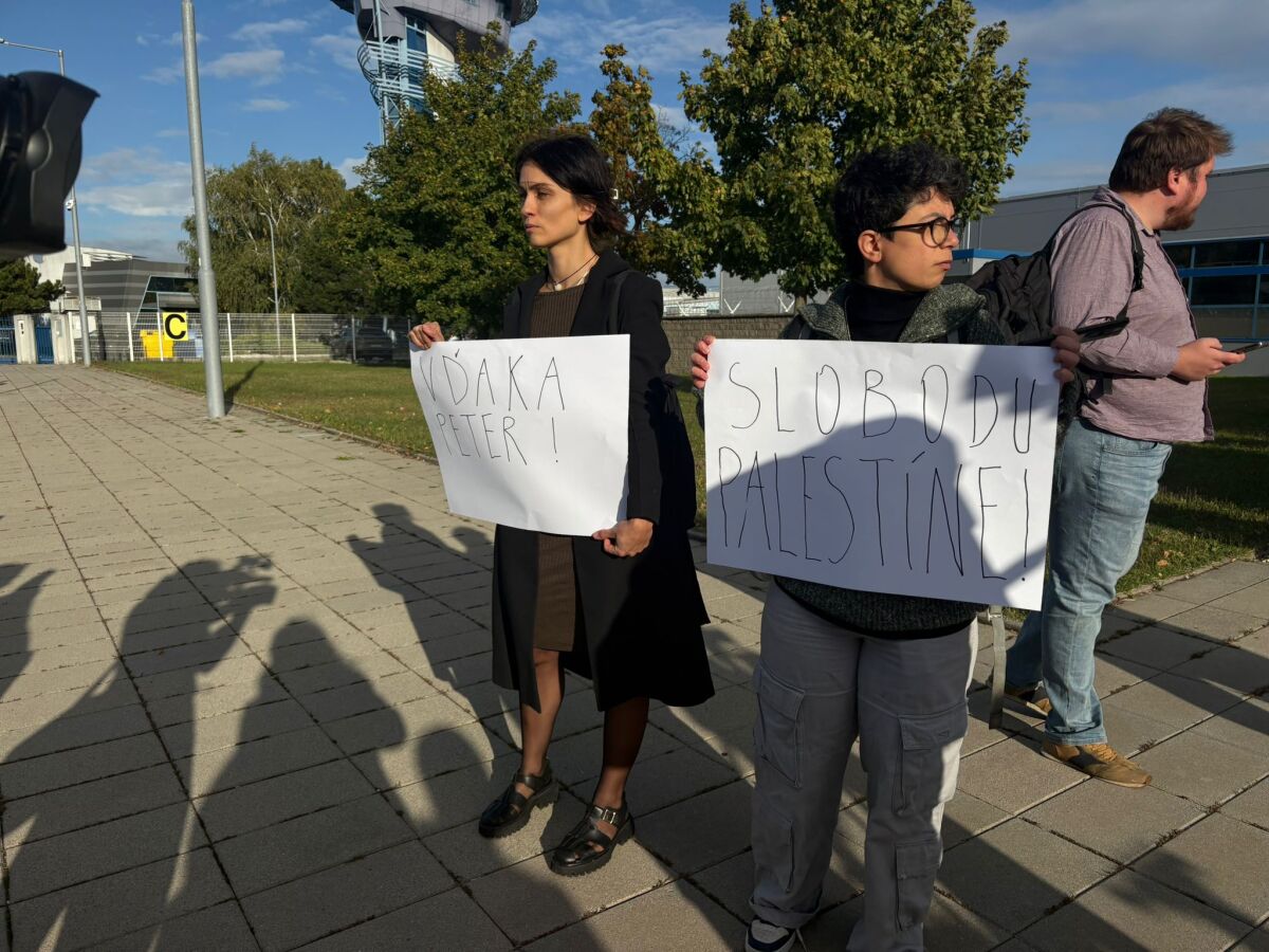 propalestínski aktivisti letisko 