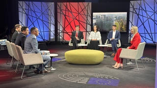 Česko-slovenské vzťahy po voľbách