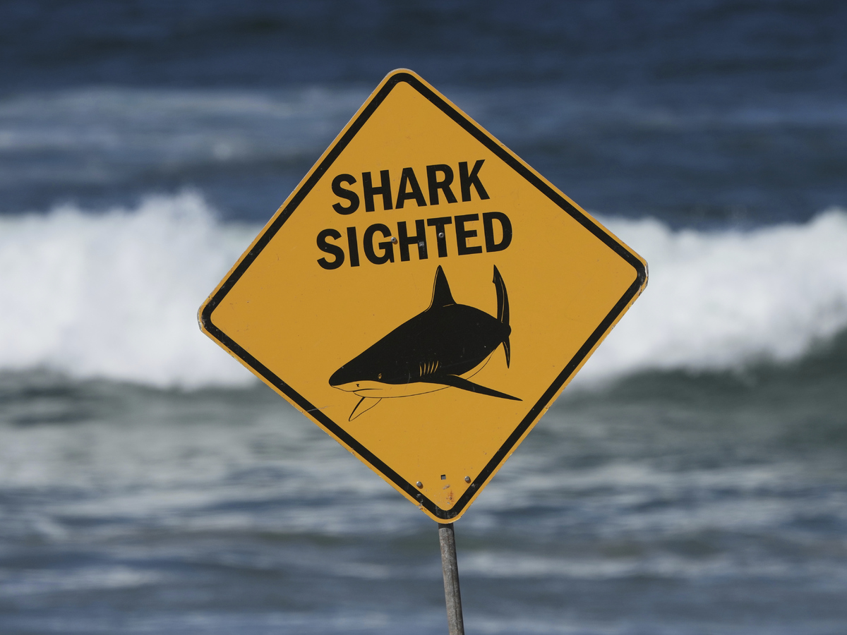 žralok