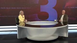 Spoločnosť a politika