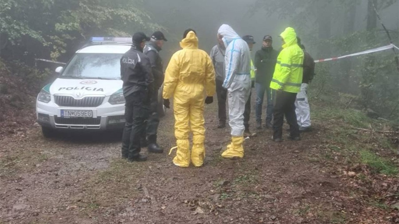 Bavaria lietadala pri Prievidzi