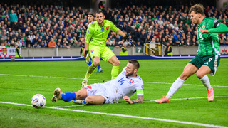 slovensko írsko.jpg