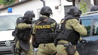 česká polícia.jpg