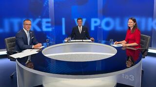 V politike Tomáš Holečková