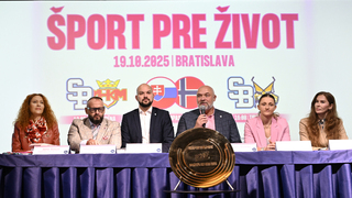 Šport pre život, hádzaná-hokej