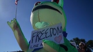 žaba demonštrant.jpg