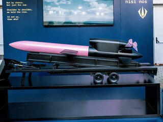 raketa flamingo.jpg