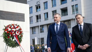 Pellegrini výročie