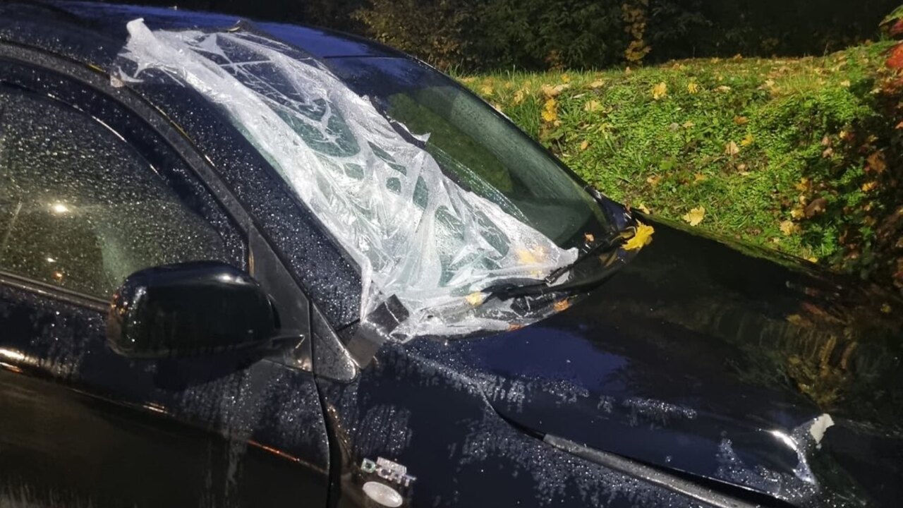 nehoda usmrtenie Brodno