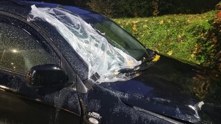 nehoda usmrtenie Brodno