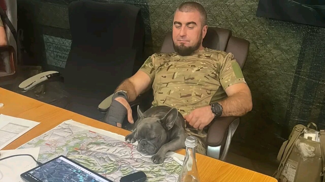 Ukrajina plukovník bojové mapy