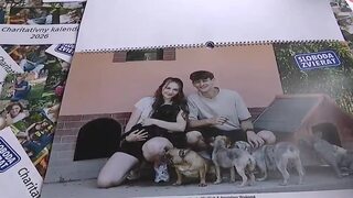 SHOW-SLOBODA-ZVIERAT-KALENDAR