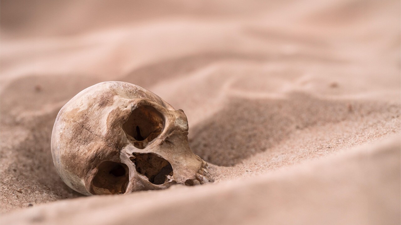 Lebka v púšti