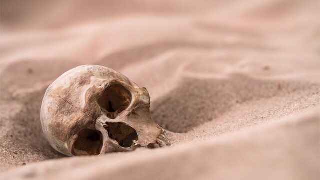 Lebka v púšti