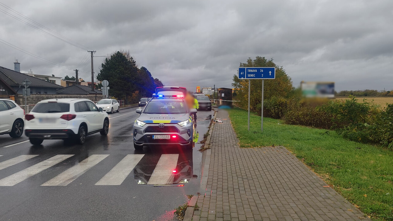 policia nehoda