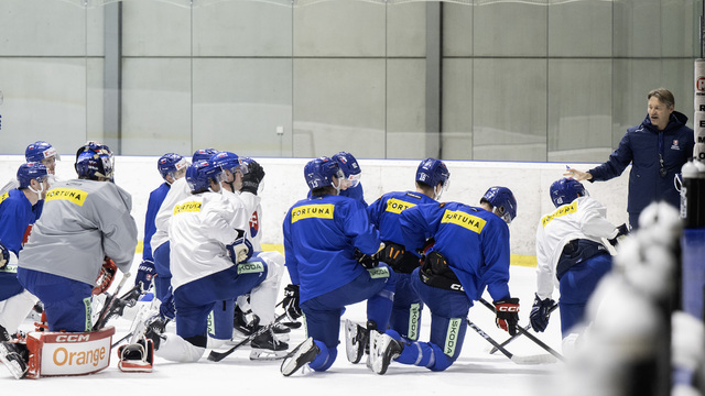 Hokej Reprezentácia