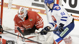 Rakúsko Slovensko Nemecký pohár