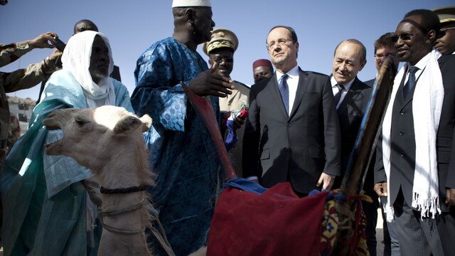 Hollande a darovaná ťava