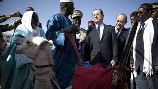 Hollande a darovaná ťava