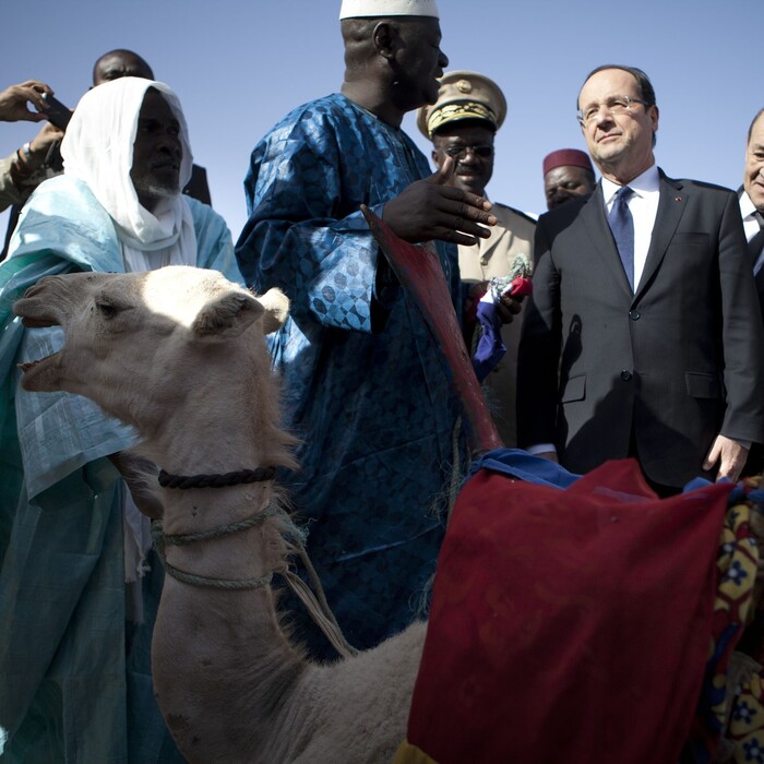 Hollande a darovaná ťava