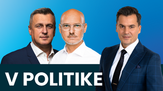 V politike