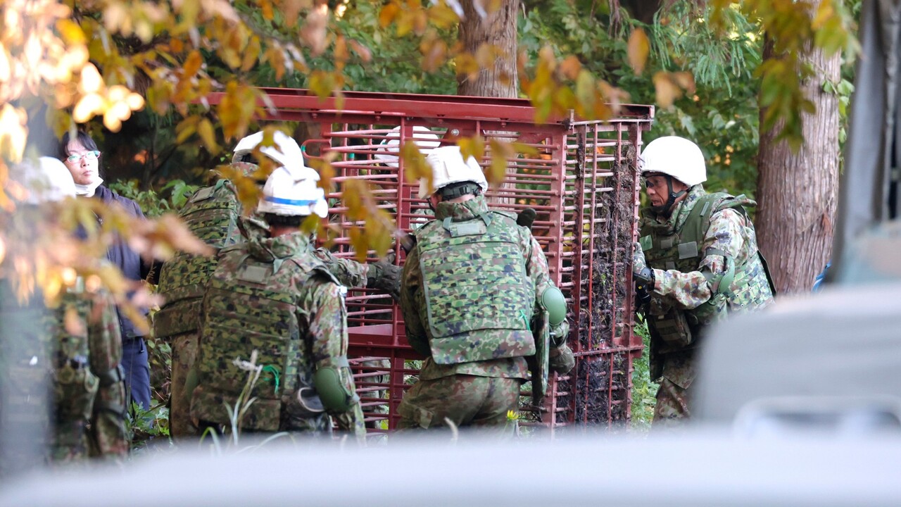 Útoky medveďov v Japonsku lámu rekordy. Nasadili armádu aj „štekajúce“ drony