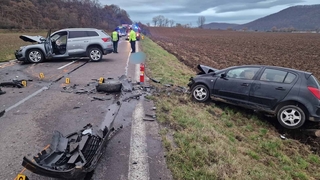 Tragická nehoda pri Novákoch. Vodičke vbehla do cesty zver, 55-ročný muž zomrel na mieste