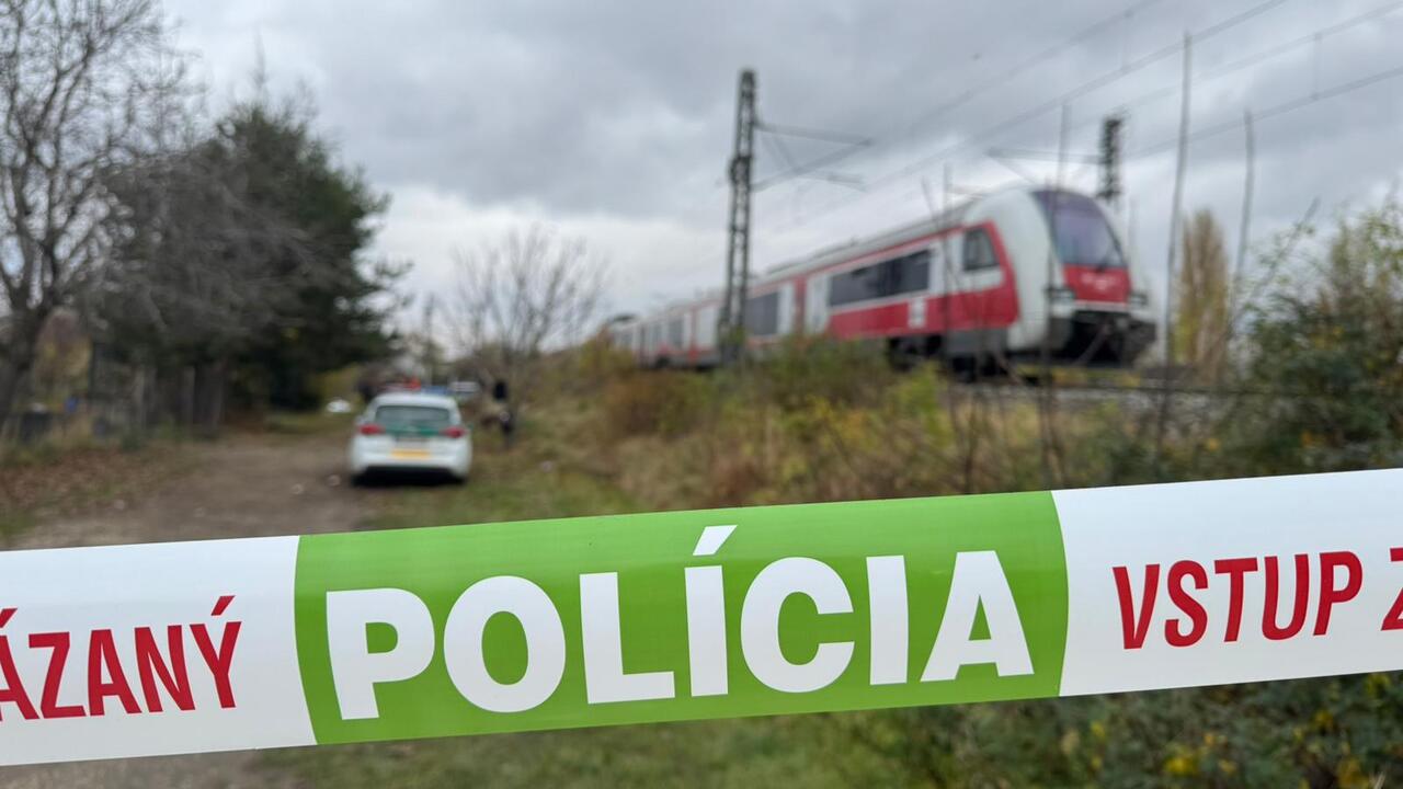 Fico zvolal vládu rekordne rýchlo, má obavy. Politológ: Odvolanie Ráža by koalícia brala ako politickú prehru