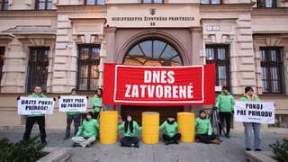 greenpeace pred MZP
