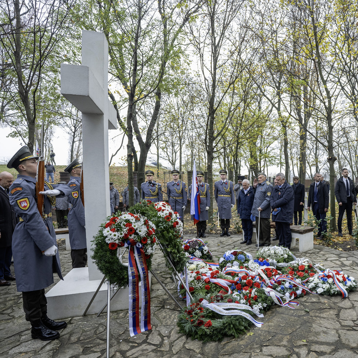 Medzinárodný deň vojnových veteránov