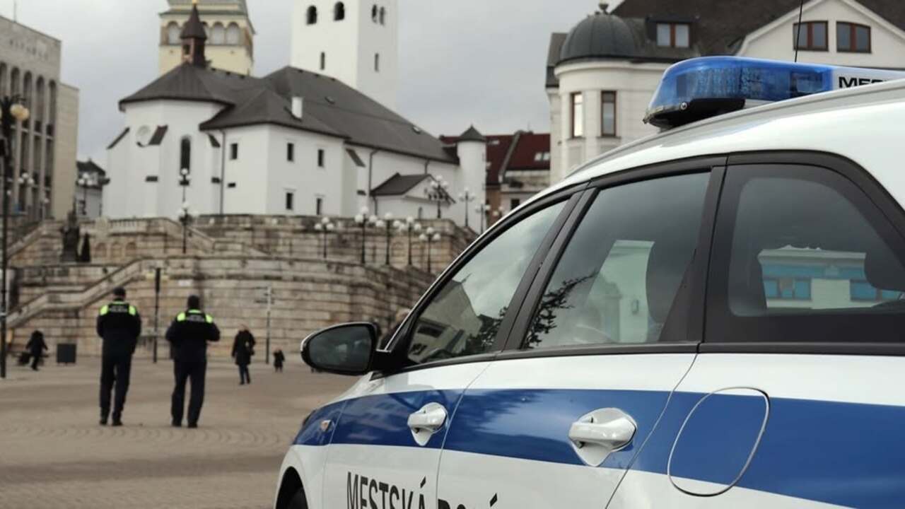 mestská polícia Žilina policajt polícia 