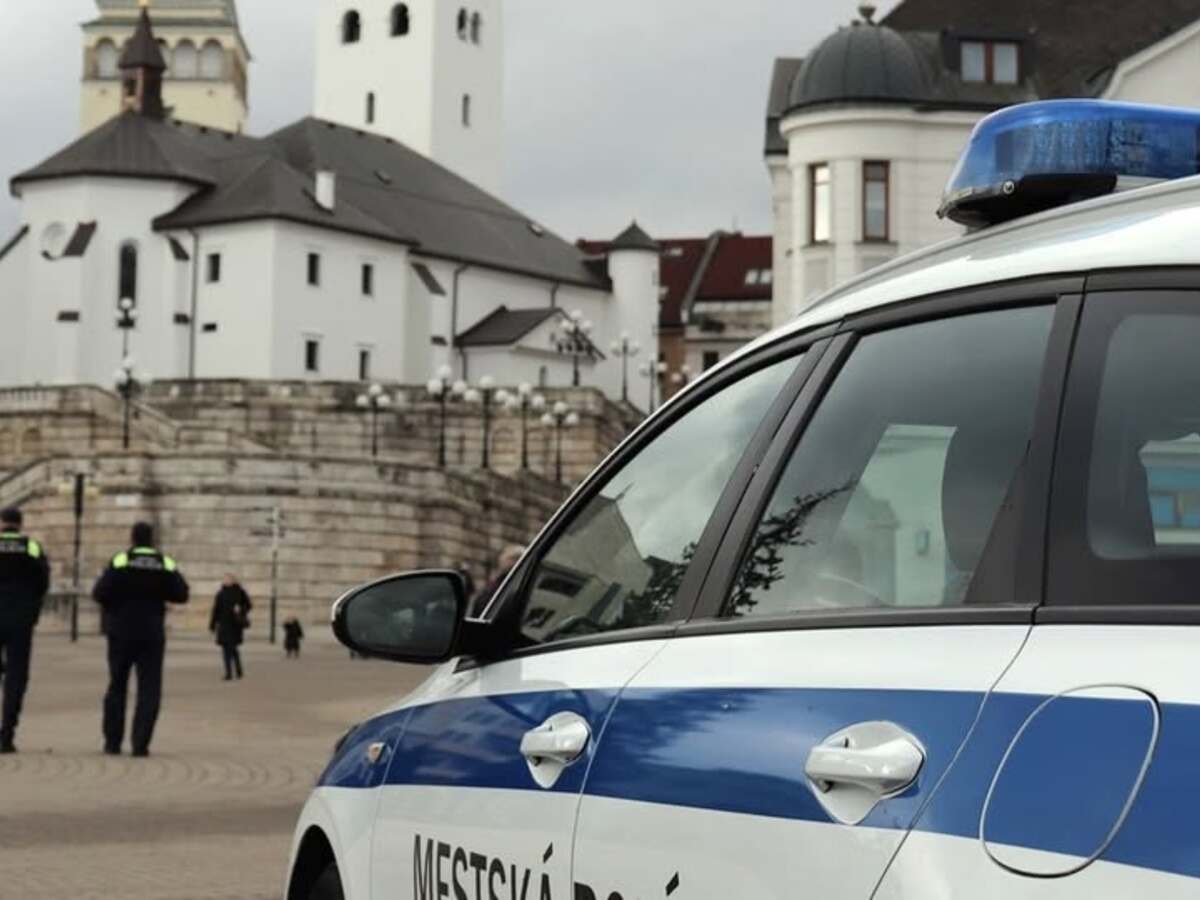 mestská polícia Žilina policajt polícia 