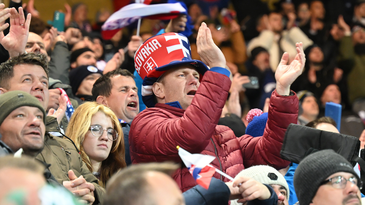 futbalová reprezentácia fanúšik futbal