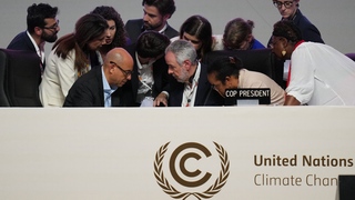 cop30.jpg